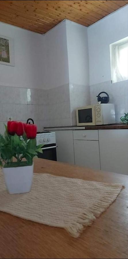 Visszavar-Lak Privat Berlemeny Badacsonytomaj Bagian luar foto